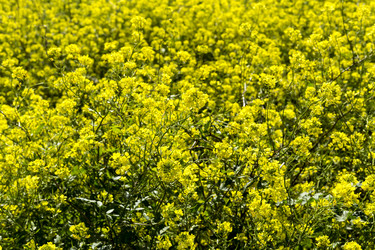 Similar image 7508529