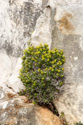 Similar image 7508546