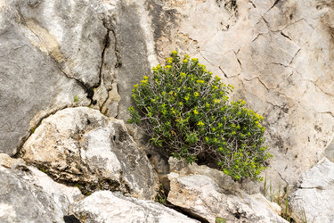 Similar image 7508547