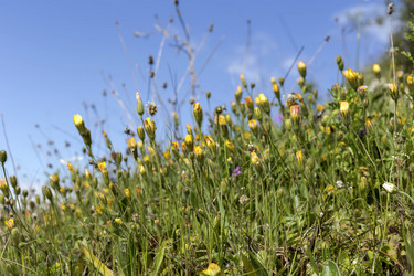 Similar image 7508548