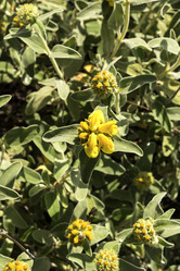 Similar image 7508549