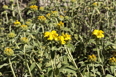 Similar image 7508550