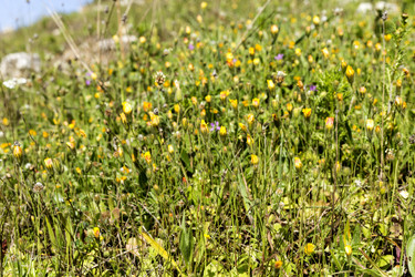 Similar image 7508551