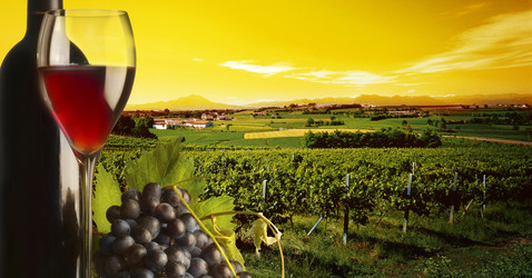 Similar image 7508587