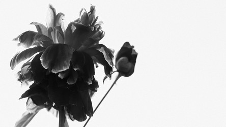 Similar image 7508813