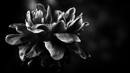 Similar image 7508815