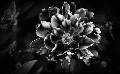 Similar image 7508816