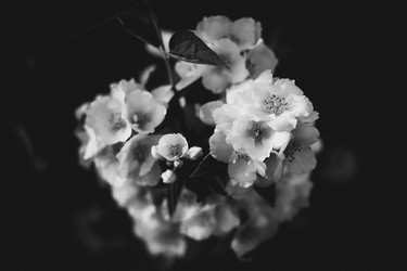 Similar image 7508818