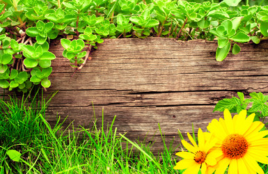 Similar image 7508877