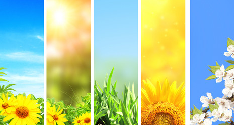 Similar image 7508883