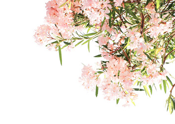 Similar image 7508896