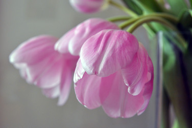 Similar image 7508913