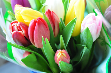 Similar image 7508932