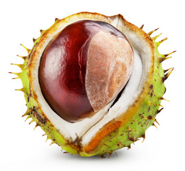 Similar image 7508939