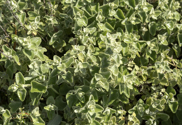 Similar image 7508946