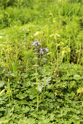 Similar image 7508948