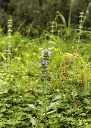 Similar image 7508949