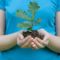 Similar image 7509029