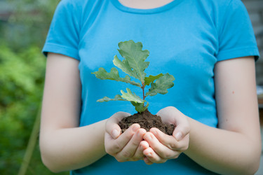 Similar image 7509030