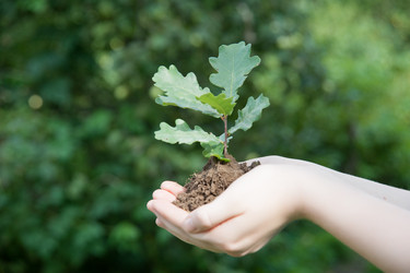 Similar image 7509031