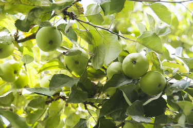 Similar image 7509032