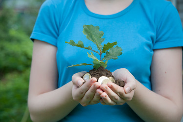 Similar image 7509046