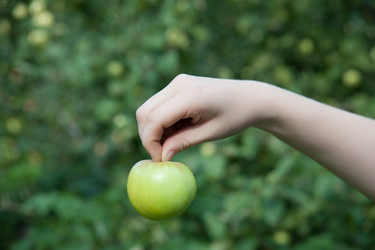 Similar image 7509048