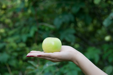 Similar image 7509049