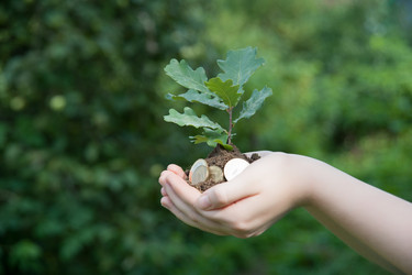 Similar image 7509052