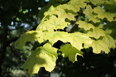 Similar image 7509352