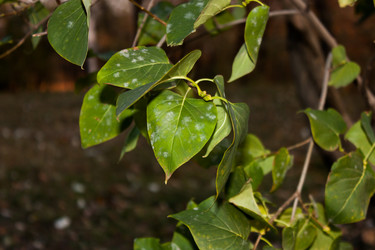 Similar image 7509369