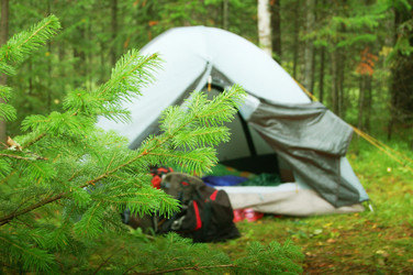 Similar image 7509370