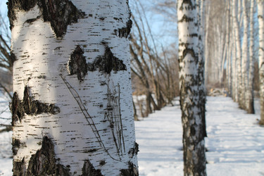 Similar image 7509519