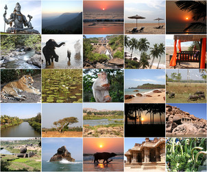 Similar image 7509520