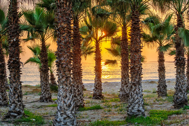 Similar image 7509679