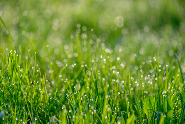 Similar image 7509684