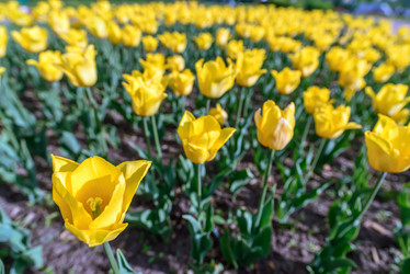 Similar image 7509685