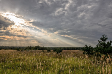 Similar image 7509688