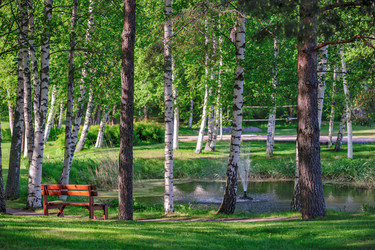 Similar image 7509693