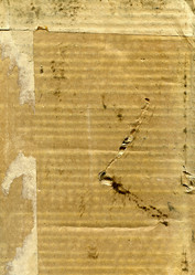 Similar image 7509704