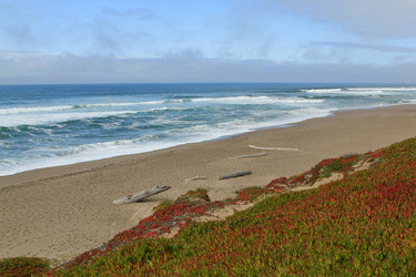 Similar image 7509763