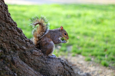 Similar image 7509766