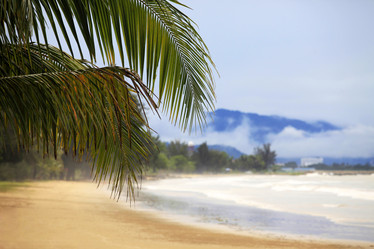 Similar image 7509769