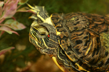 Similar image 7509778