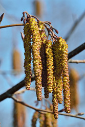 Similar image 7509802