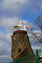 Similar image 7509803