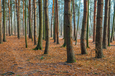 Similar image 7509880