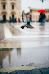 Similar image 7510000