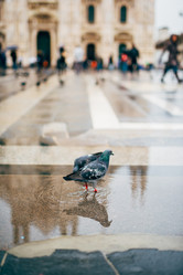 Similar image 7510029