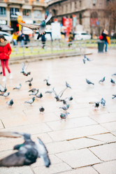 Similar image 7510064